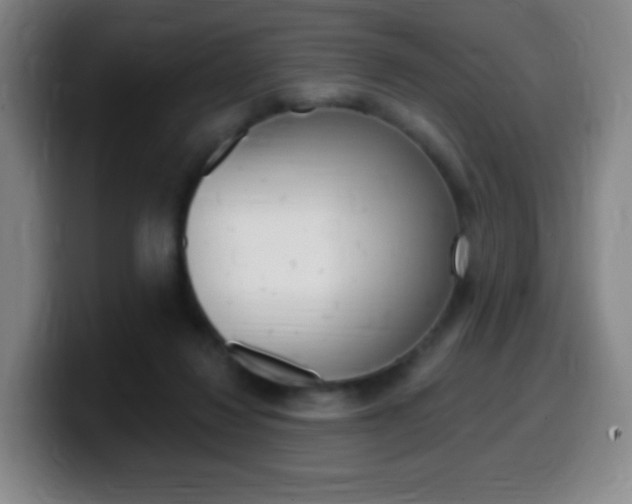 X0000099520260200805151038