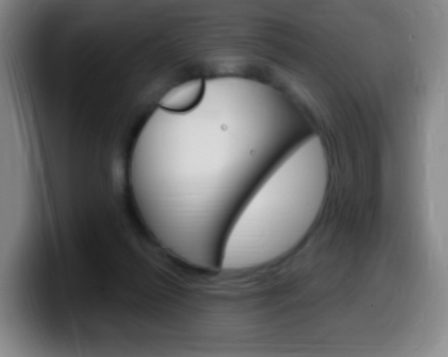 X0000099520262200805151038