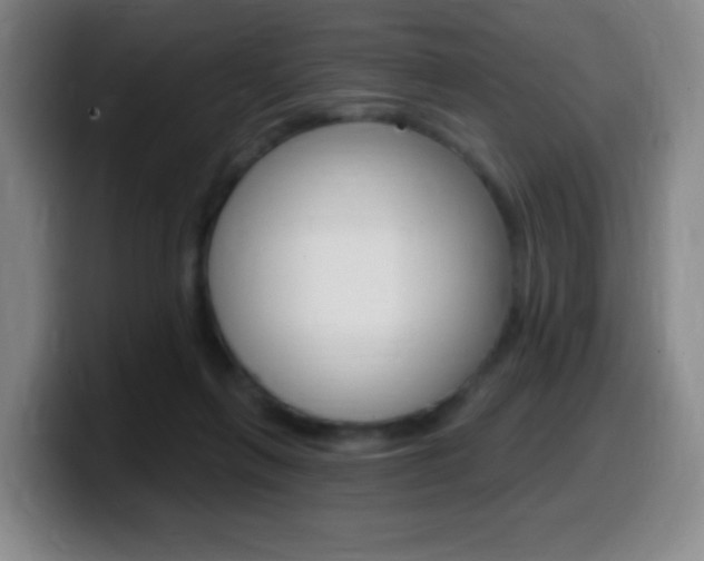 X0000099520263200805151038