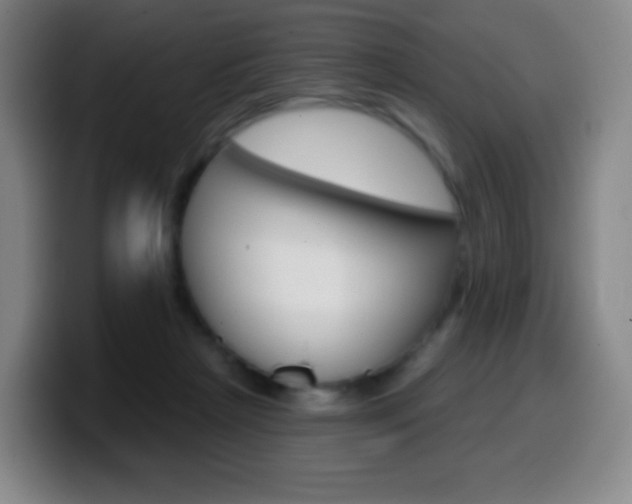X0000099520265200805151038