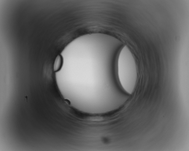 X0000099520266200805151038