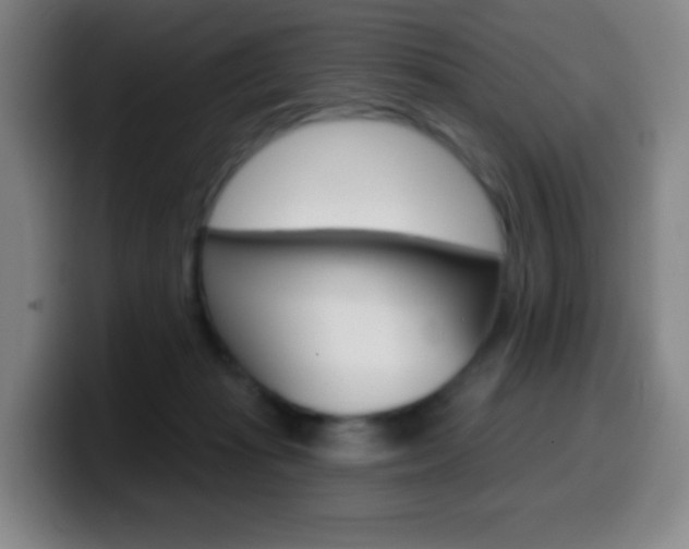 X0000099520269200805151038