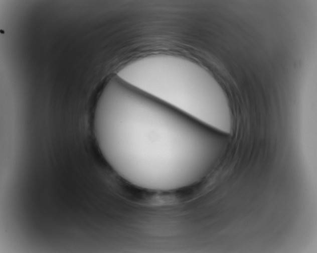 X0000099520270200805151038