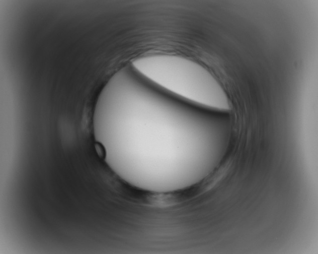 X0000099520273200805151038