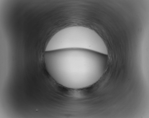 X0000099520276200805151039