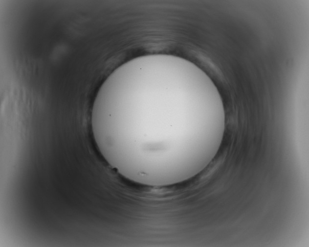 X0000099520277200805151039