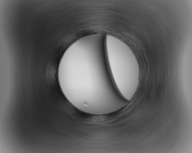 X0000099520279200805151039