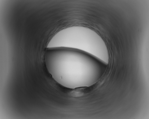 X0000099520280200805151039