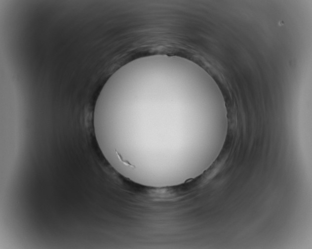 X0000099520281200805151039