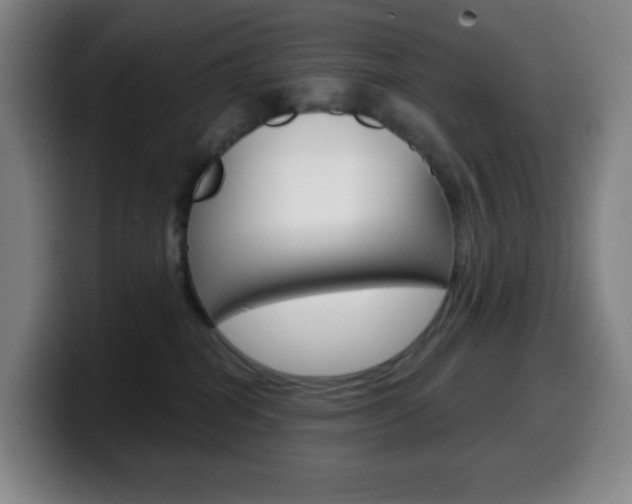 X0000099520282200805151039