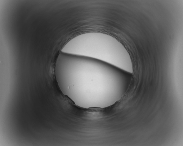 X0000099520284200805151039