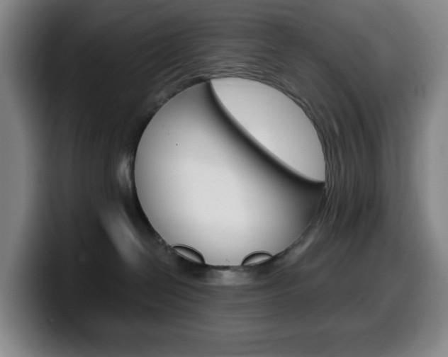X0000099520286200805151039