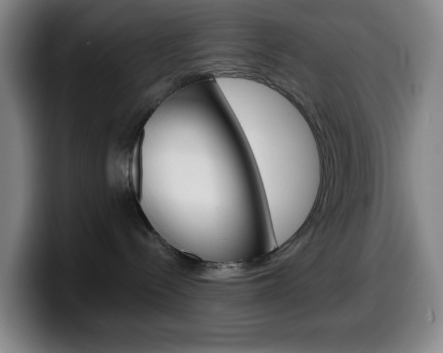 X0000099520288200805151039