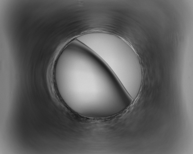 X0000099520289200805151038