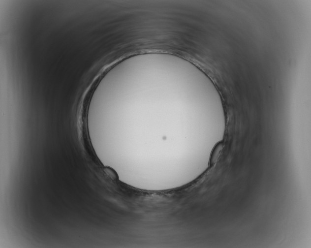 X0000099520290200805151038