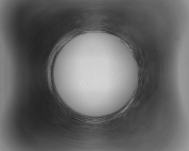 X0000099520293200805151038