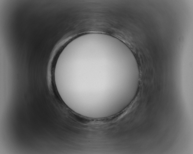 X0000099520294200805151038