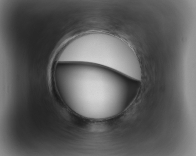 X0000099520296200805151038