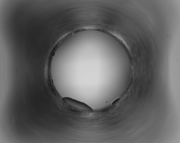 X0000099520297200805151038