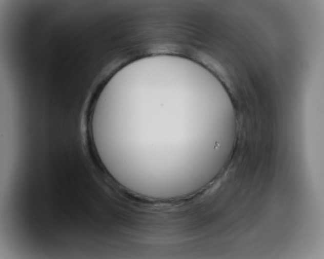 X0000099520298200805151038