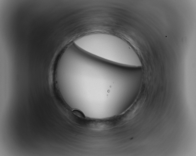 X0000099520299200805151038