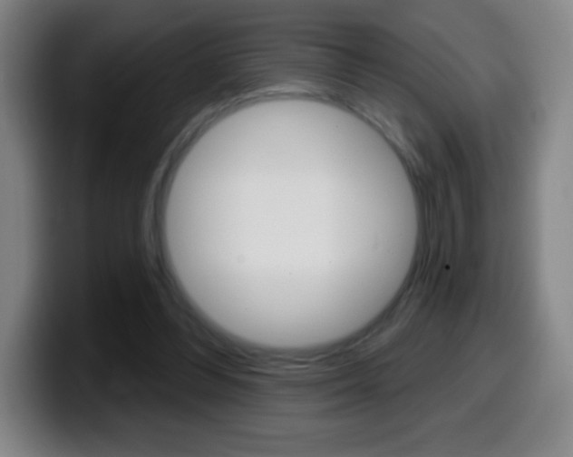 X0000099520300200805151038
