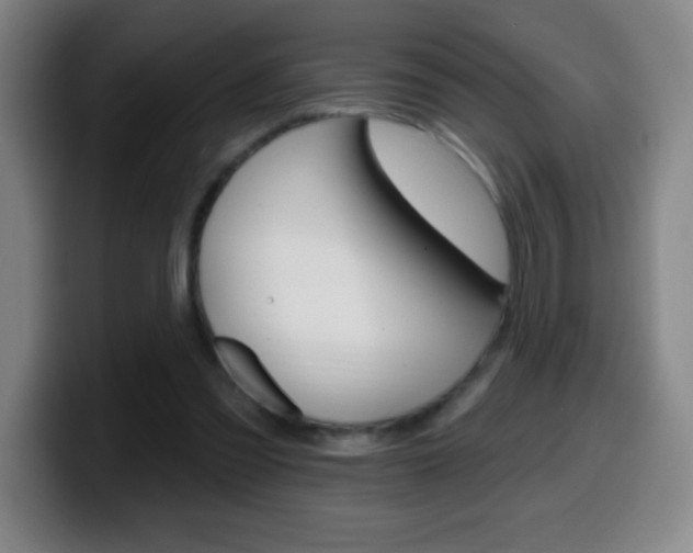 X0000099520301200805151038