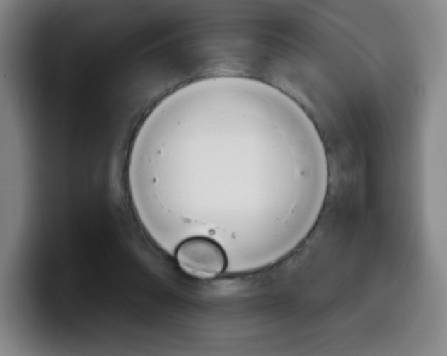 X0000099520302200805151038