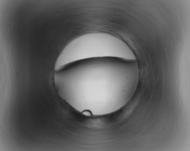 X0000099520307200805151038