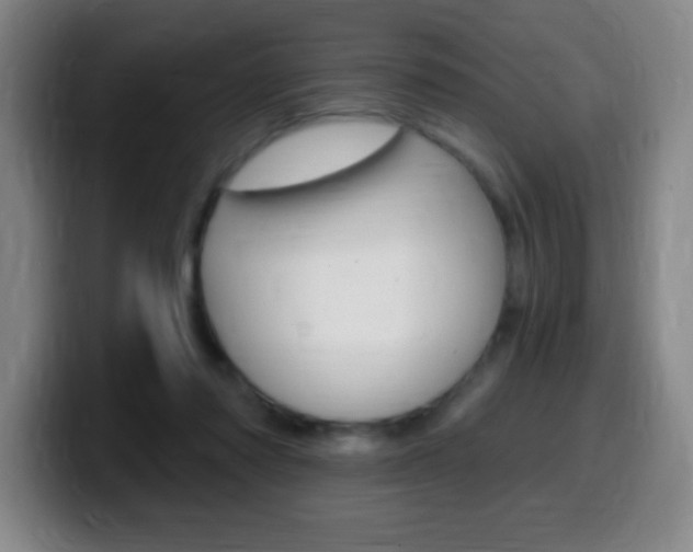 X0000099520310200805151038