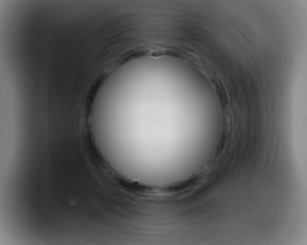X0000099520316200805151038