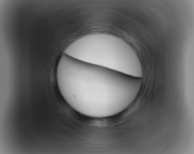 X0000099520317200805151038