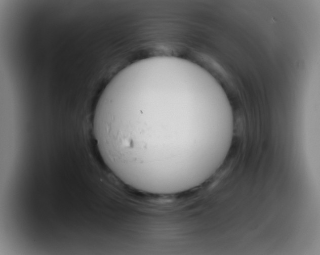 X0000099520318200805151038