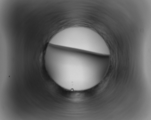 X0000099520319200805151038
