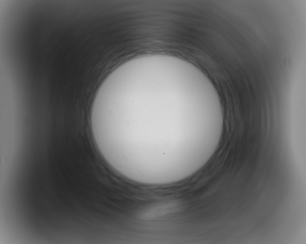 X0000099520320200805151038