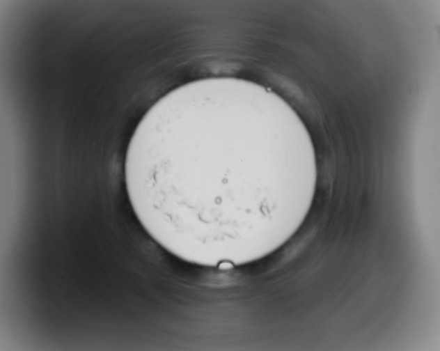 X0000099520321200805151038