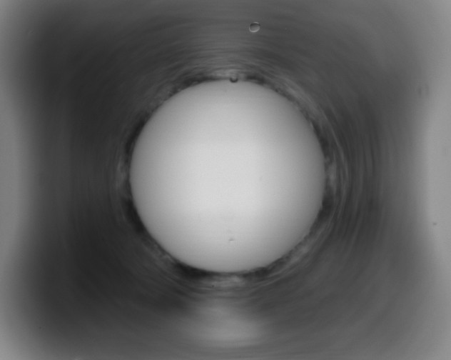 X0000099520322200805151038