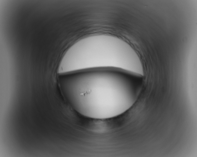 X0000099520325200805151038
