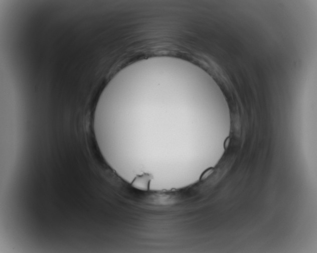 X0000099520326200805151038
