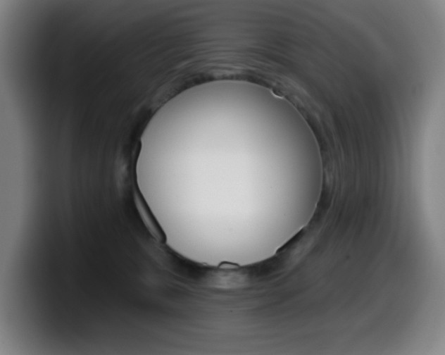X0000099520327200805151038