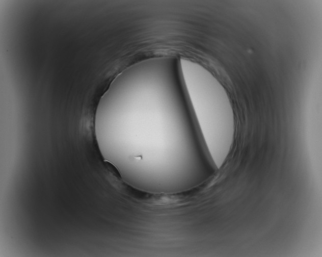 X0000099520329200805151038