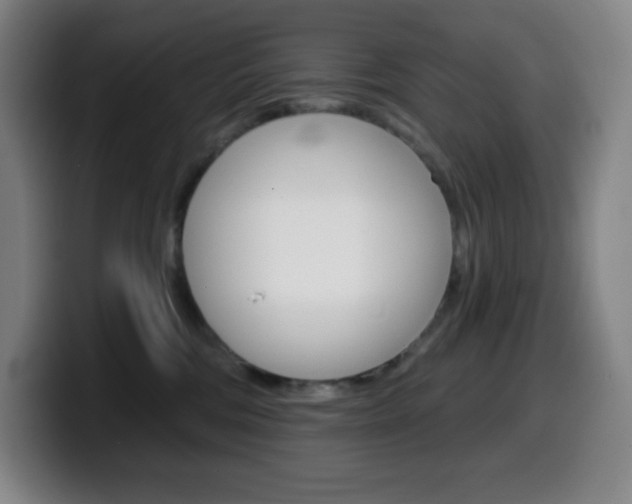 X0000099520330200805151038
