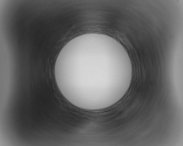 X0000099520332200805151038