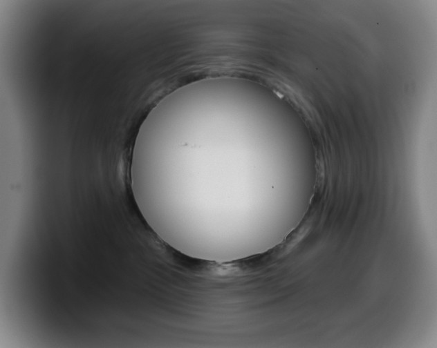 X0000099520333200805151037