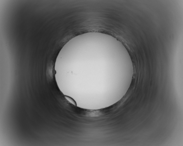 X0000099520334200805151037