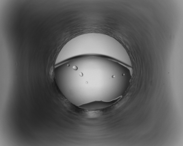 X0000099520336200805151037
