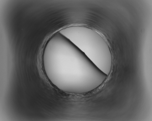 X0000099520337200805151037
