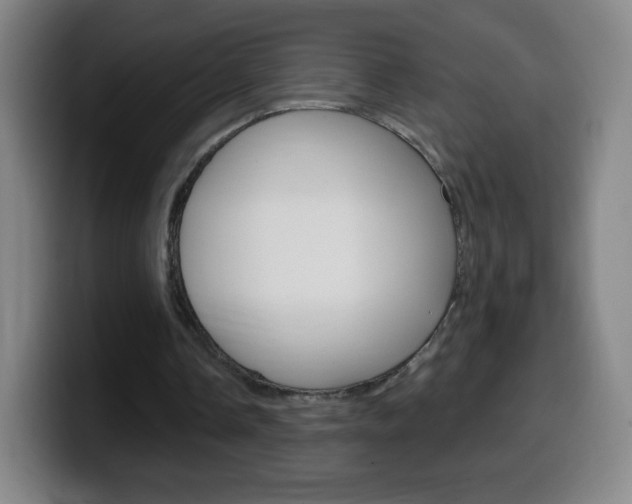 X0000099520338200805151037