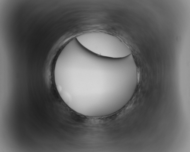 X0000099520339200805151037