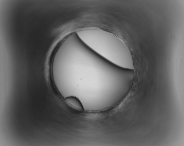 X0000099520342200805151037